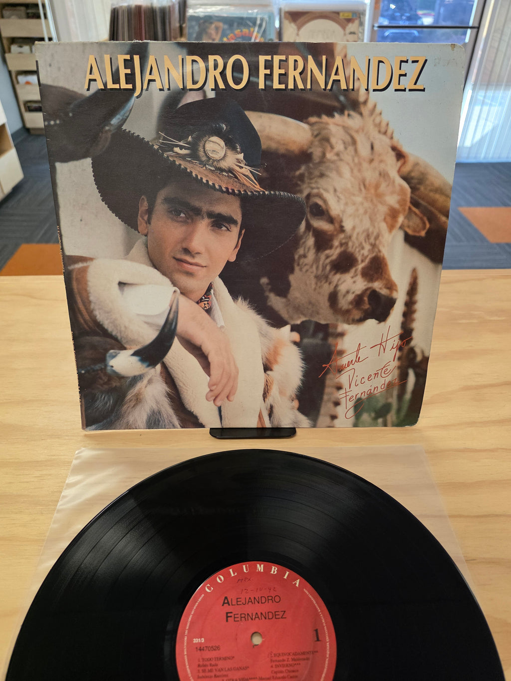 Alejandro Fernandez
