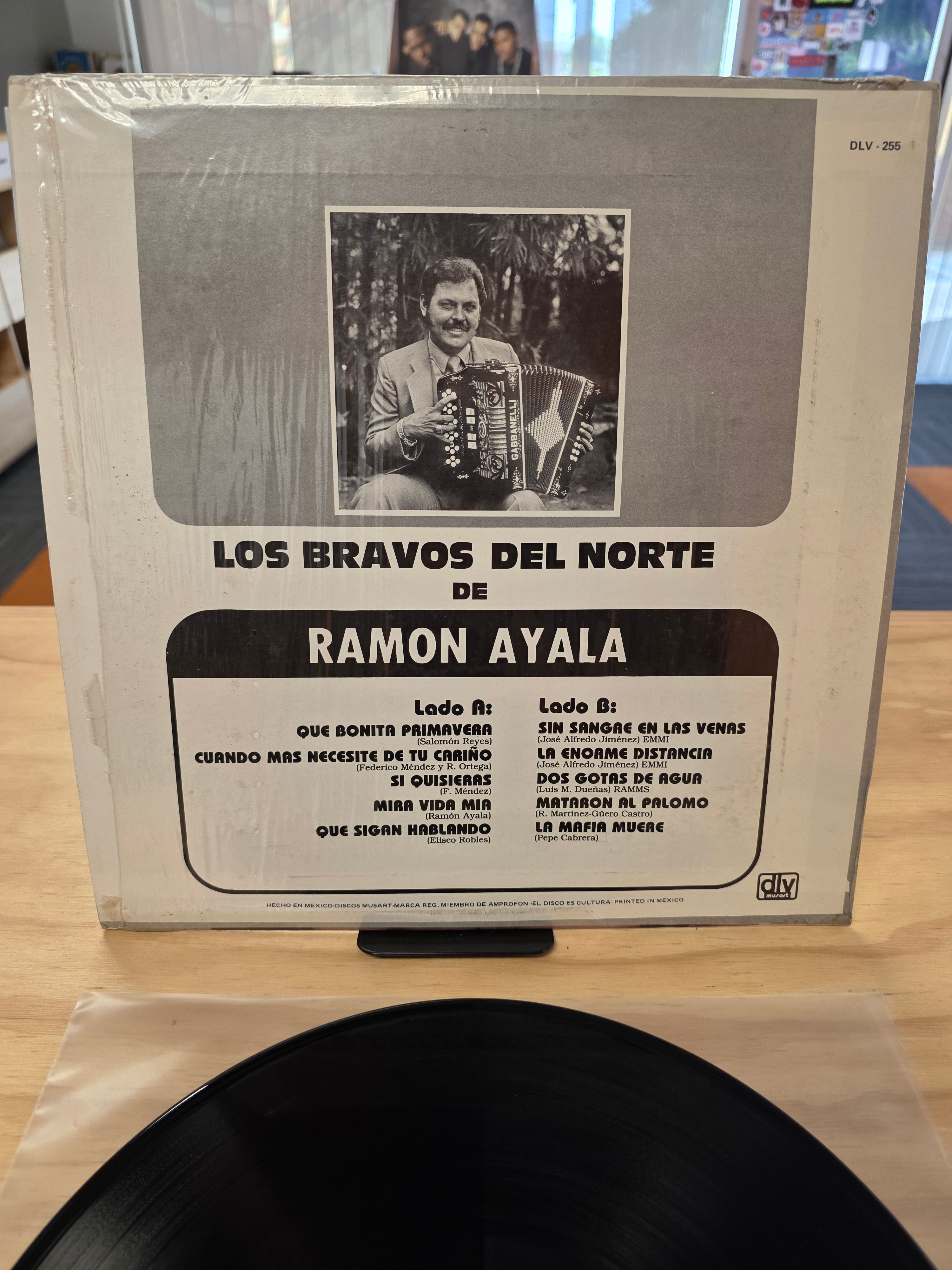 Ramon Ayala - Que bonita primavera